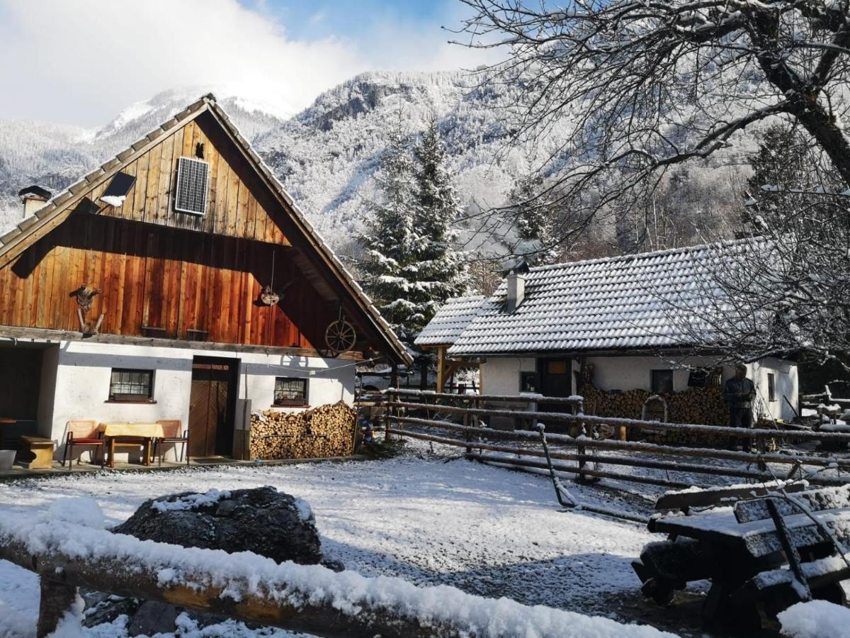 Villa Lizina Hiska House Bohinj à Bohinjska Bistrica Extérieur photo