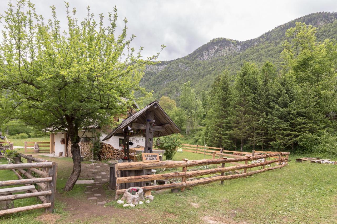 Villa Lizina Hiska House Bohinj à Bohinjska Bistrica Extérieur photo