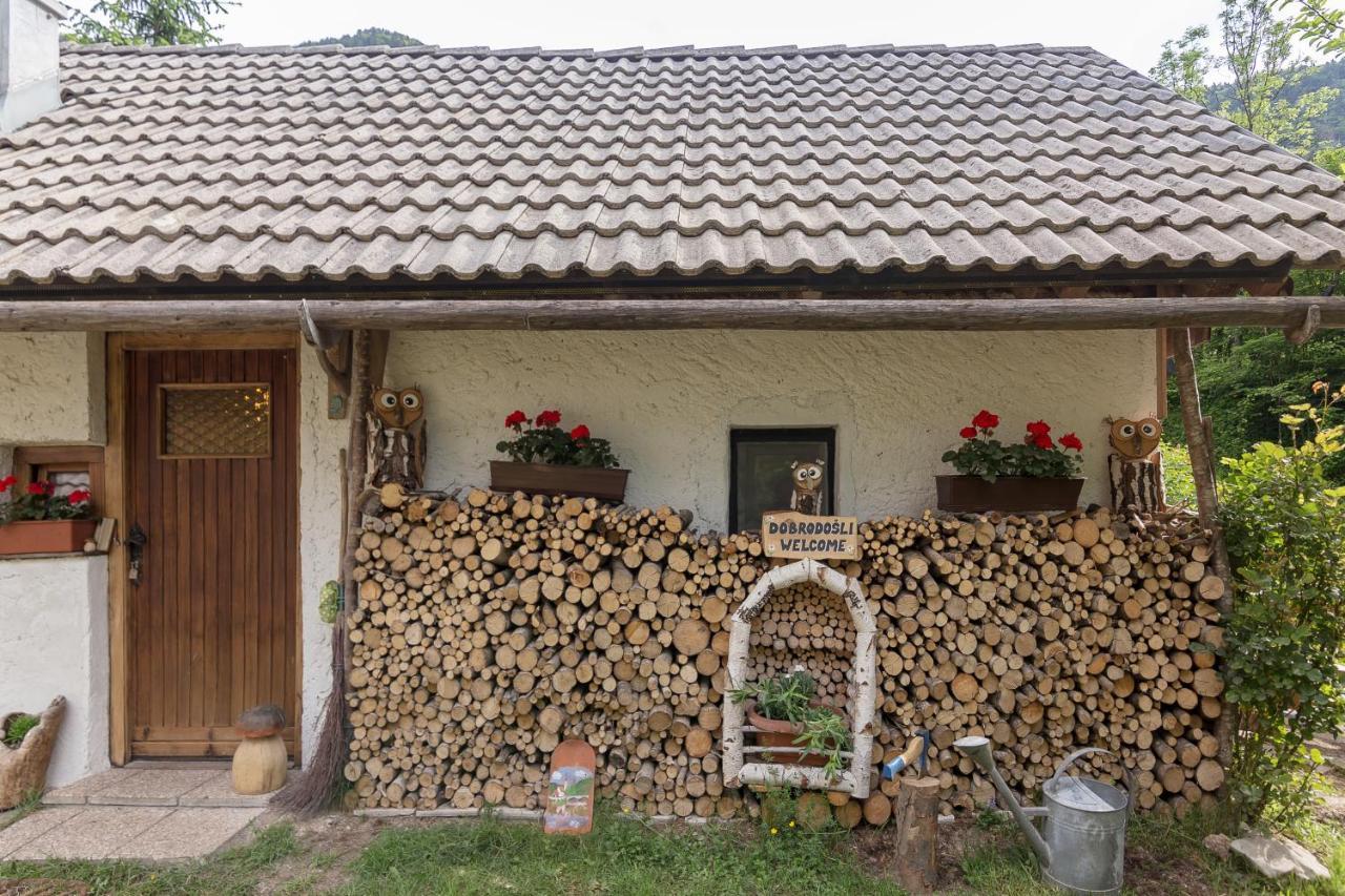 Villa Lizina Hiska House Bohinj à Bohinjska Bistrica Extérieur photo