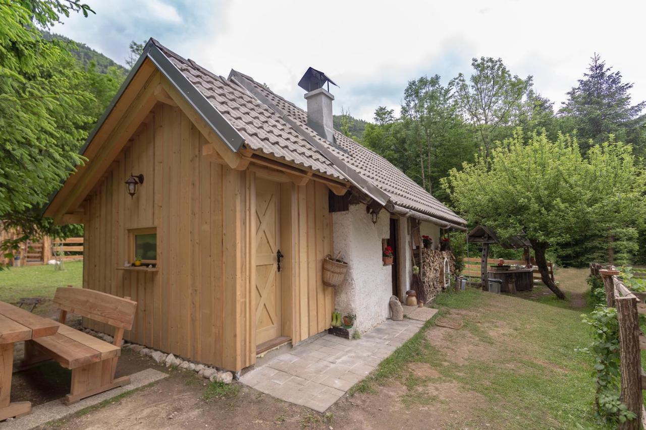 Villa Lizina Hiska House Bohinj à Bohinjska Bistrica Extérieur photo