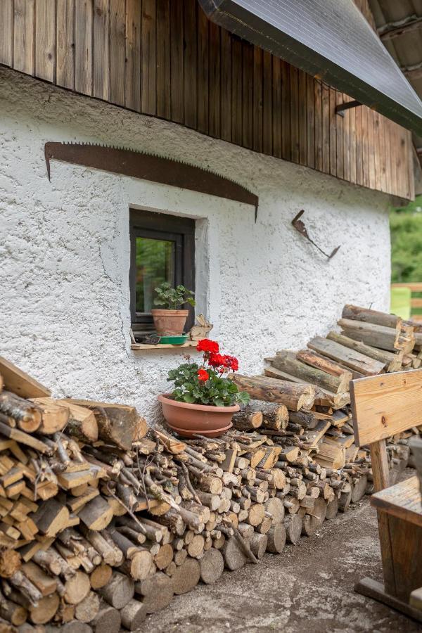Villa Lizina Hiska House Bohinj à Bohinjska Bistrica Extérieur photo