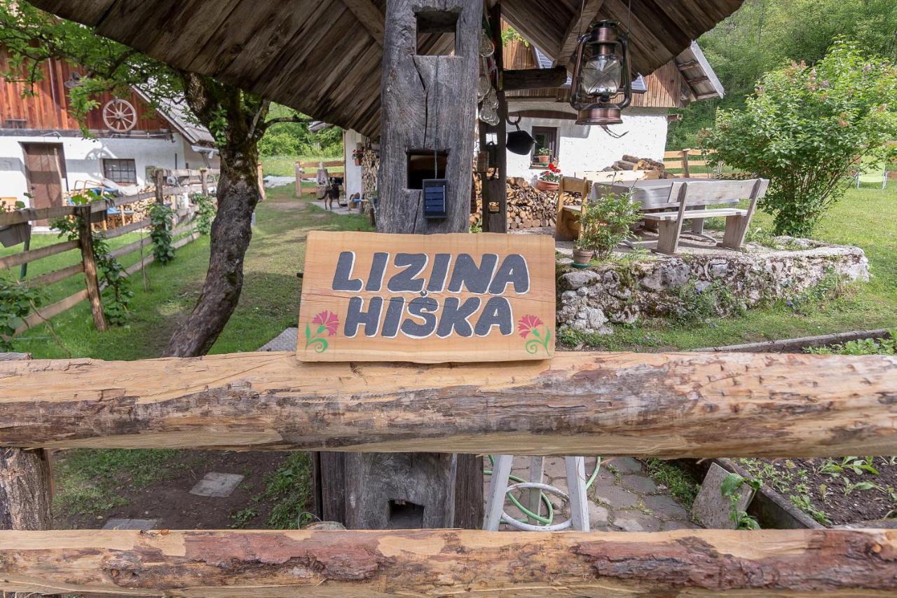 Villa Lizina Hiska House Bohinj à Bohinjska Bistrica Extérieur photo